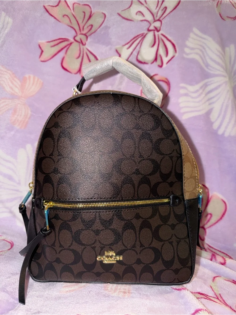 Small brown backpack inspi Coach Signature
